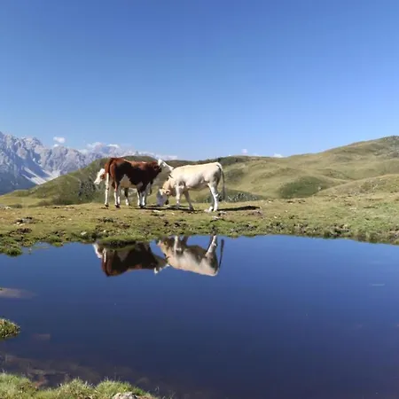 公寓 Thurntaler 锡利安