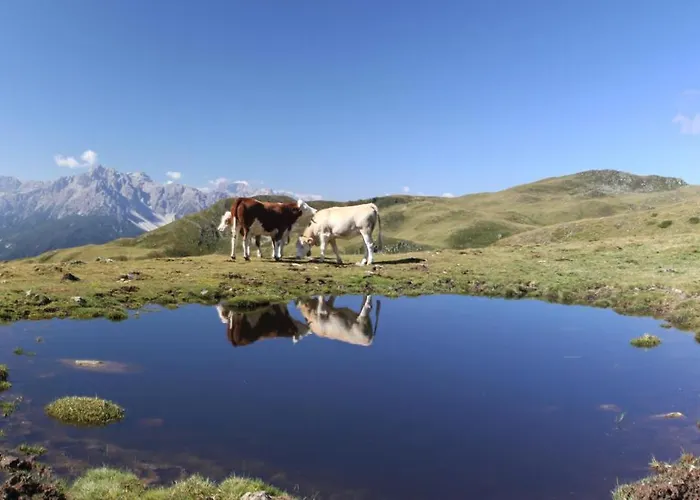 Appartement Thurntaler Sillian